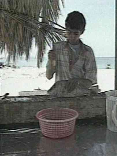 Cradle of Sun Poster