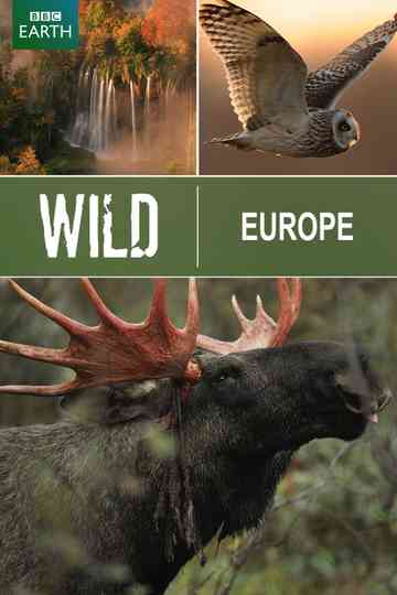 Wild Europe Poster