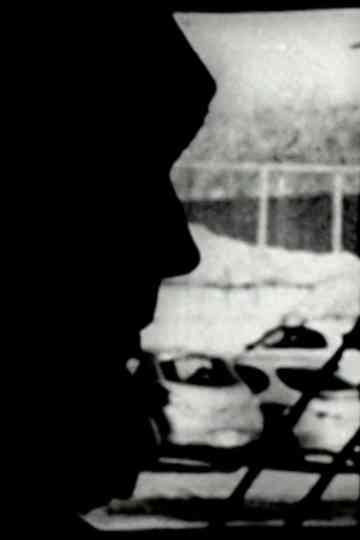 Perceptual Subjectivity Poster