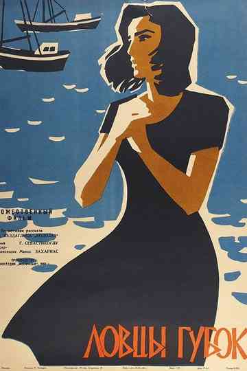 Sponge Catchers poster