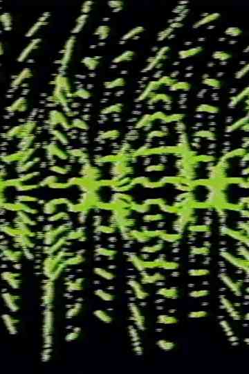 Modulated Horizontal Lines Poster