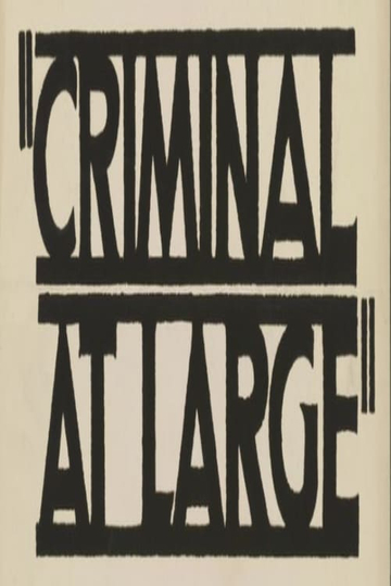 A Criminal at Large