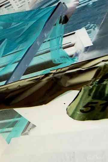 Natural Collage Poster