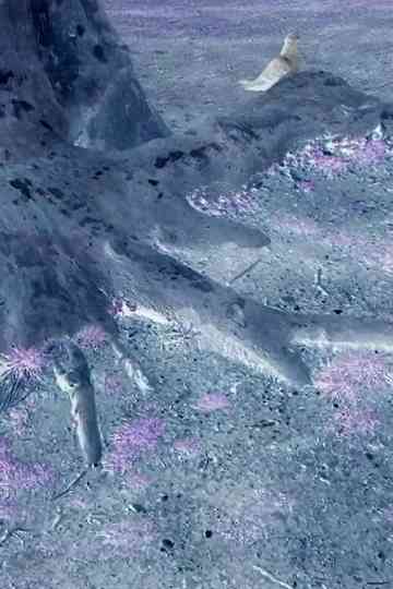 Roots of Manhattan Poster