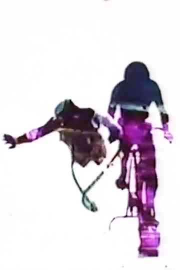 Biological Cycle No 1 Poster