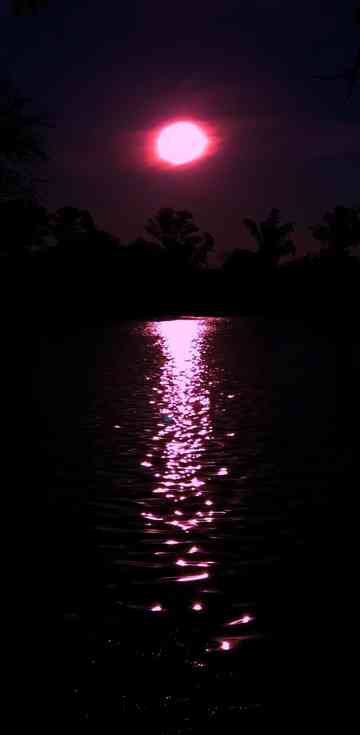 Uma Carta Alienígena Poster