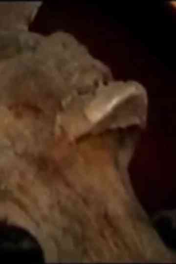 Under Cemetery 2: Guanajuato Poster