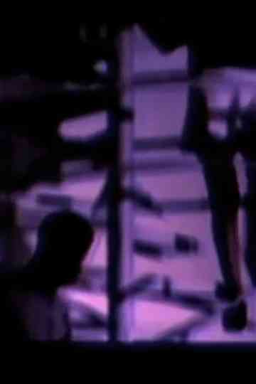 Lies  Humiliations Poster