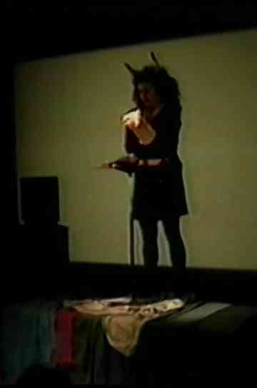 Vulvas School Poster