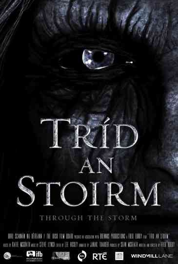 Through the Storm Poster