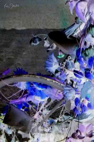 Flowers and Bike Poster