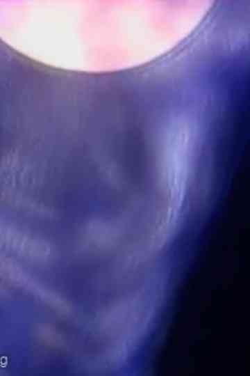 In the blink of an eyeamphibian dreamsIf I could fly I would fly Poster