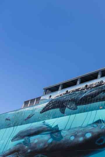 Ocean Stories: Wyland Poster