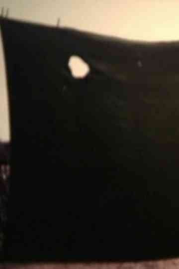 The Blanket of Life Poster