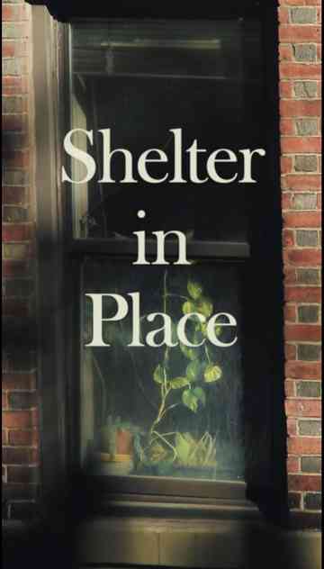 Shelter in Place Poster