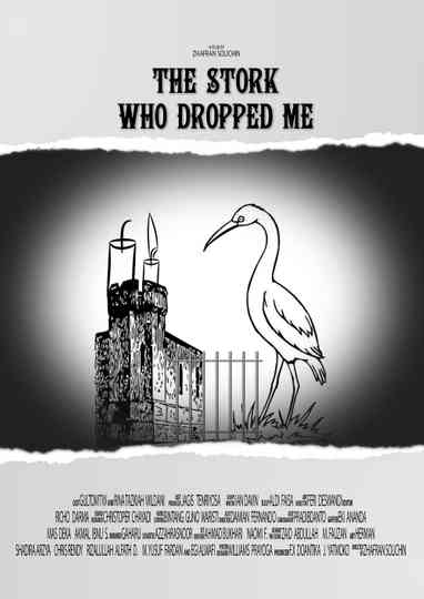 The Stork Who Dropped Me Poster