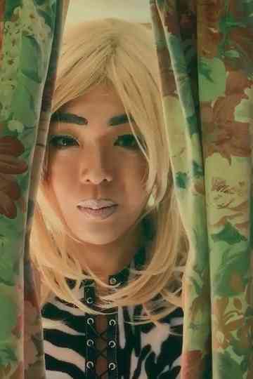 Give Us a Meow Poster