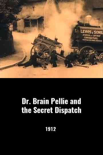 Dr Brian Pellie and the Secret Dispatch Poster