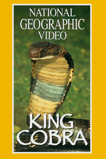 King Cobra Poster