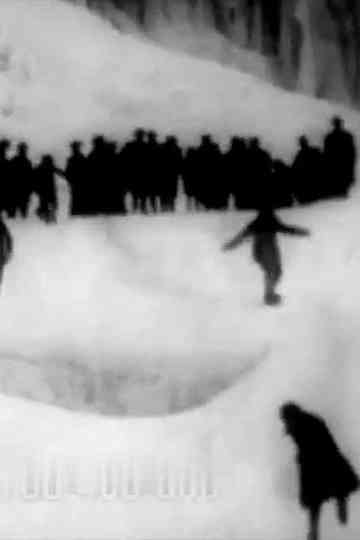 Sliding Down Ice Mound at Niagara Falls Poster