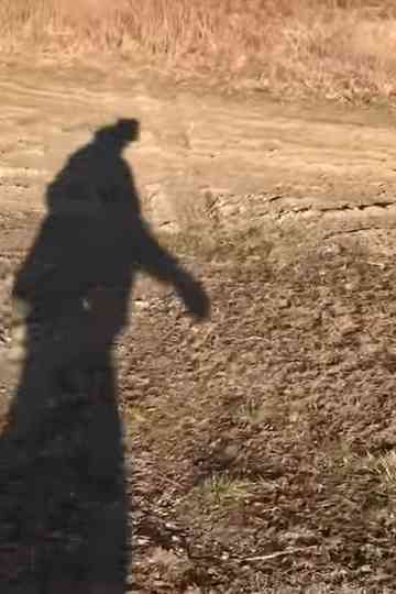 Be Absolute for Death Poster