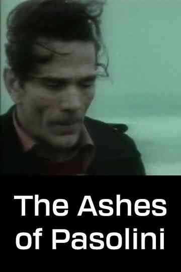 The Ashes of Pasolini Poster