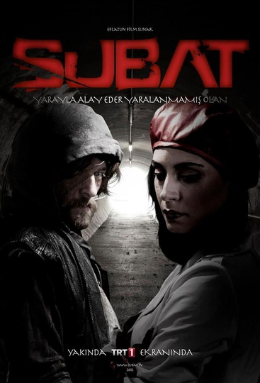 Şubat Poster