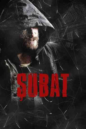 Şubat Poster