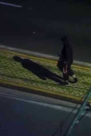 Incredible thoughts of a woman on a tier Poster