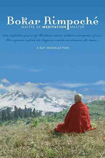 Bokar Rimpoche Meditation Master Poster
