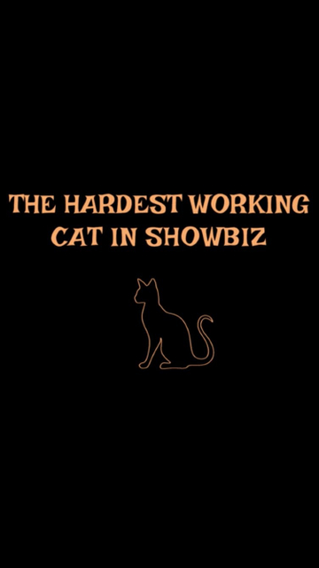 The Hardest Working Cat in Showbiz Poster