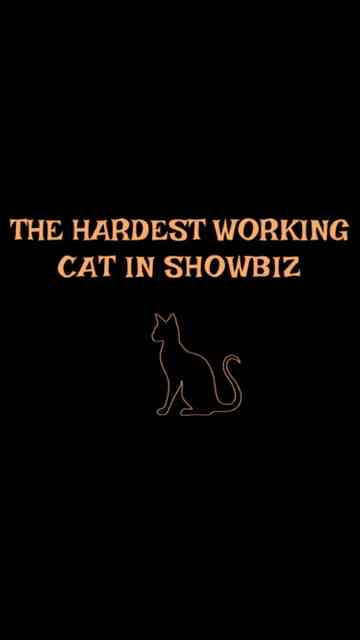 The Hardest Working Cat in Showbiz Poster