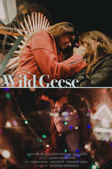 Wild Geese Poster