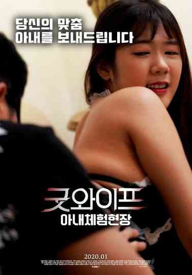 Good Wife Wifes Experience Poster