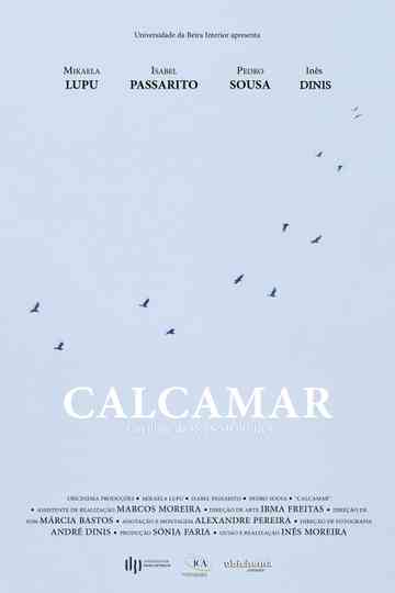 Calcamar Poster