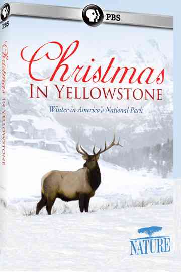 Christmas in Yellowstone Poster