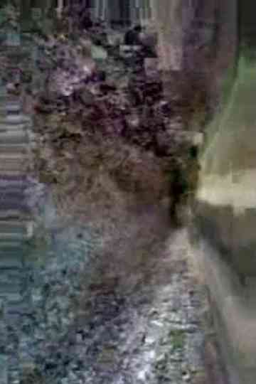 Preserving Cultural Traditions in a Period of Instability Poster