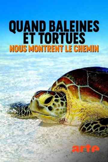 Quand baleines et tortues nous montrent le chemin Poster
