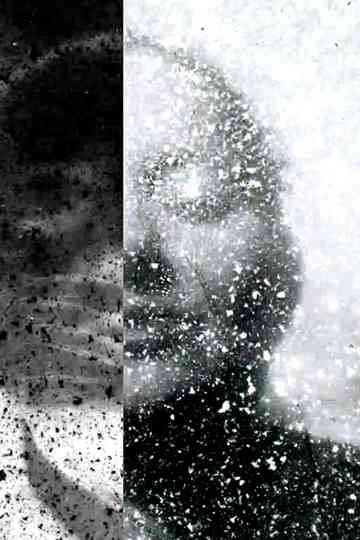 A Venture into Vegan Filmmaking Poster