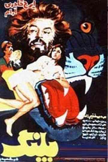 The Night Leopard Poster