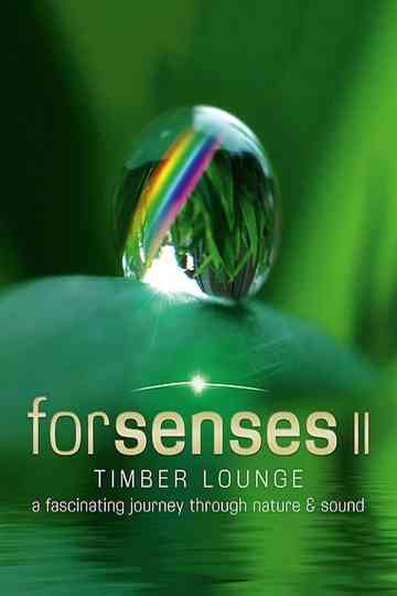 Forsenses II Timber Lounge poster