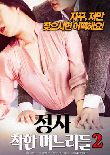 An Affair Kind Daughtersinlaw 2 Poster