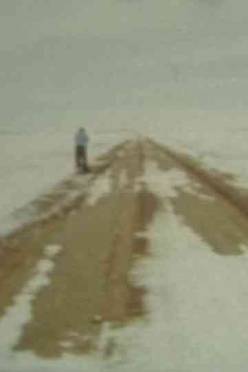 You Bet Your Life A Matter of Survival Poster