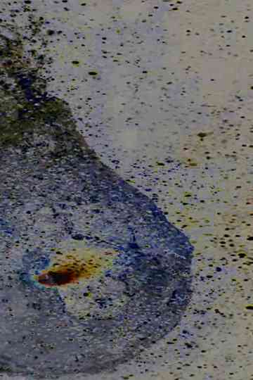 Water Balloon Poster