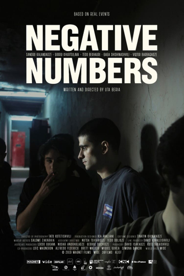 Negative Numbers Poster