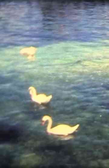 O, o fille de l'o Poster