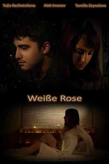 Weiße Rose Poster