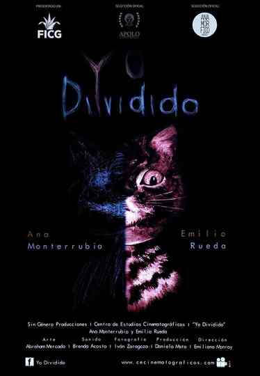 Yo Dividido Poster