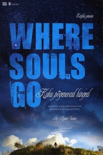 Where Souls Go Poster