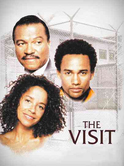 The Visit Poster